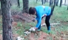 采蘑菇视频,跟随采蘑菇视频，体验大自然的馈赠